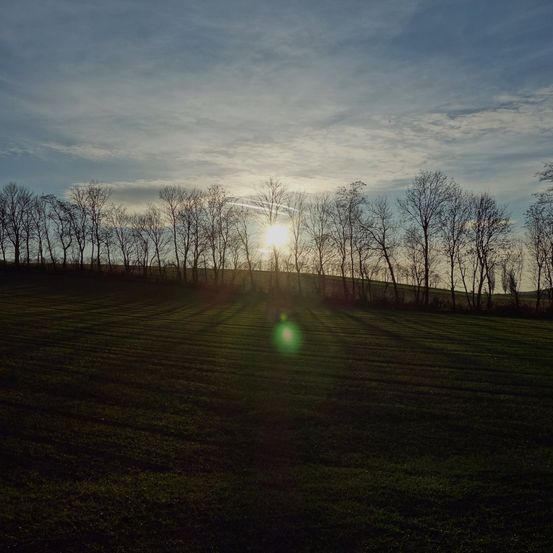 Bild enthält, Flare, Light, Grass, Nature, Outdoors, Sky, Sunlight, Grassland, Vegetation, Scenery