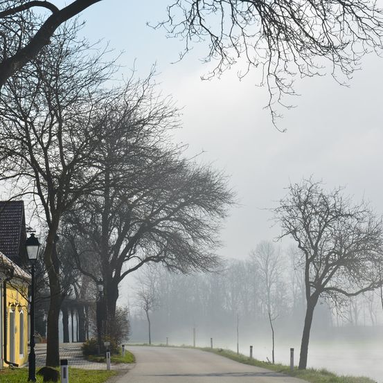 Bild enthält, Nature, Outdoors, Weather, City, Street, Shelter, Neighborhood, Fog, Scenery, Rain