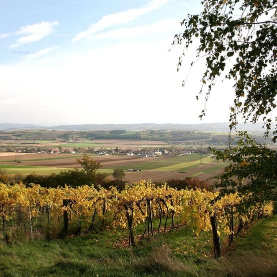 Bild enthält, Nature, Outdoors, Countryside, Rural, Farm, Vineyard, Scenery, Landscape