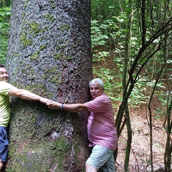 Zwei Männer umarmen einen großen Baum in einem Wald. Einer trägt ein grünes T-Shirt und blaue Shorts, der andere ein rosa Hemd und graue Hosen.
