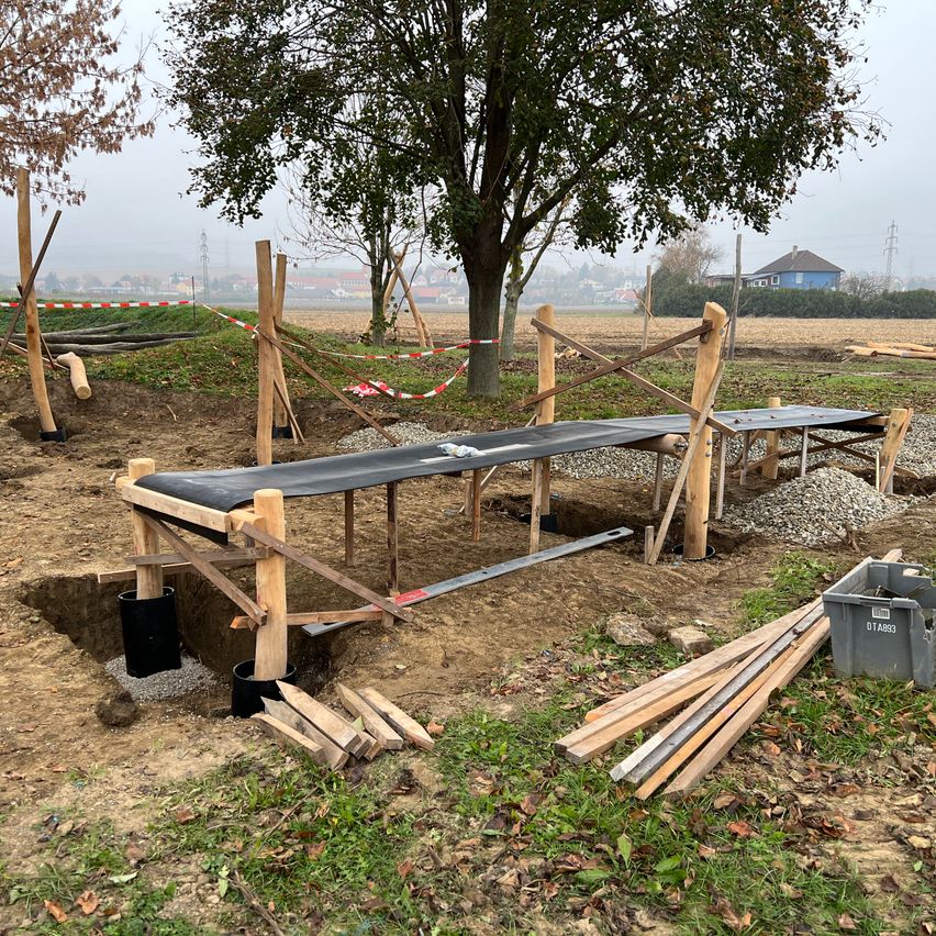 Bild enthält, Wood, Lumber, Outdoors, Plant, Tree, Plywood