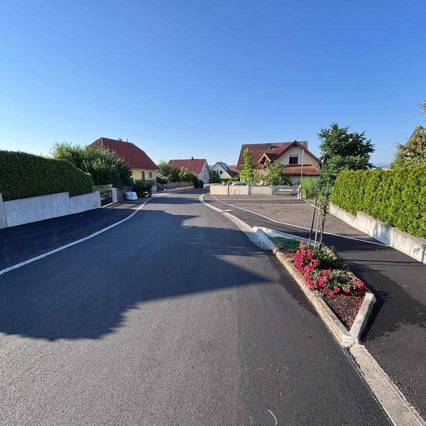 A newly paved road with a white line, flanked by hedges and a small garden with red flowers. In the background, there are houses with red roofs under a clear blue sky.