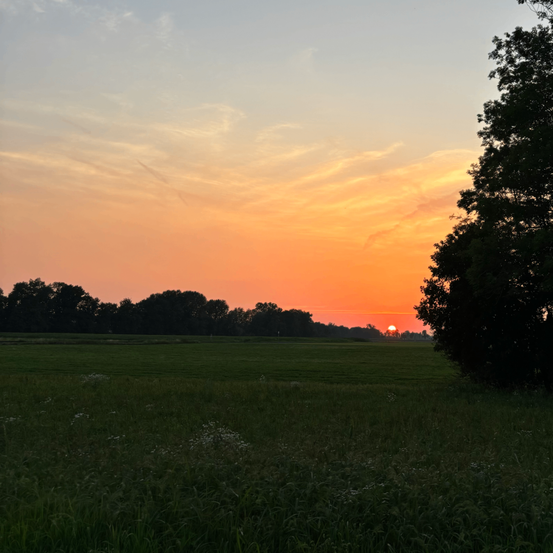 Bild enthält, Nature, Outdoors, Sky, Field, Grassland, Sunset, Grass, Countryside, Meadow, Sunlight