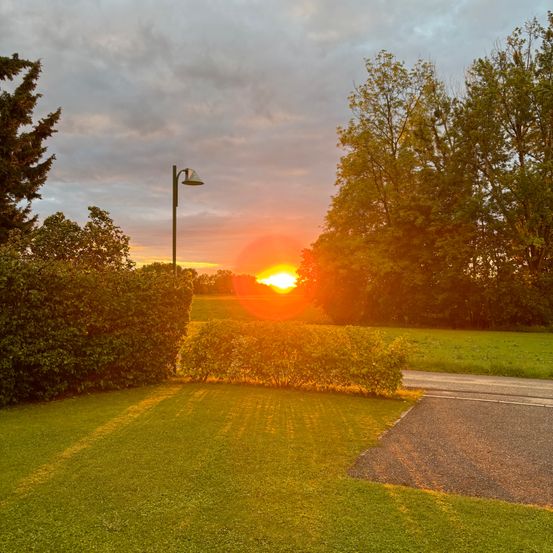Bild enthält, Grass, Flare, Light, Nature, Outdoors, Sky, Sunlight, Lawn, Tree, Field