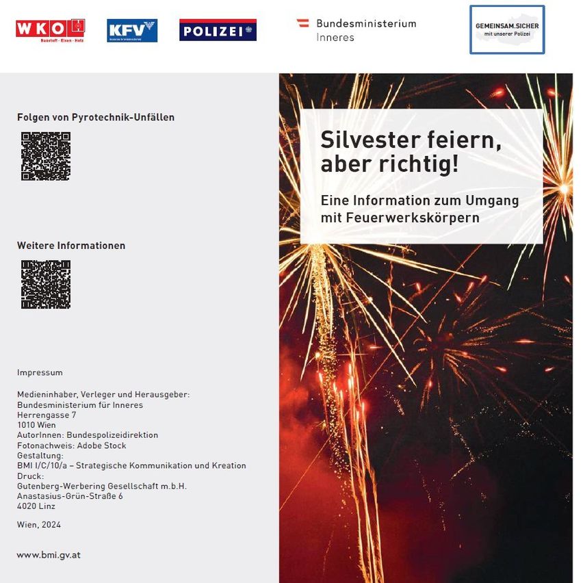 Ein Broschürencover mit Feuerwerk im Hintergrund. Der Text 'Silvester feiern, aber richtig!' hebt die sichere Handhabung von Pyrotechnik hervor. Darunter sind Logos von Organisationen und QR-Codes zu sehen. Die Broschüre wird vom Bundesministerium des Innern herausgegeben.