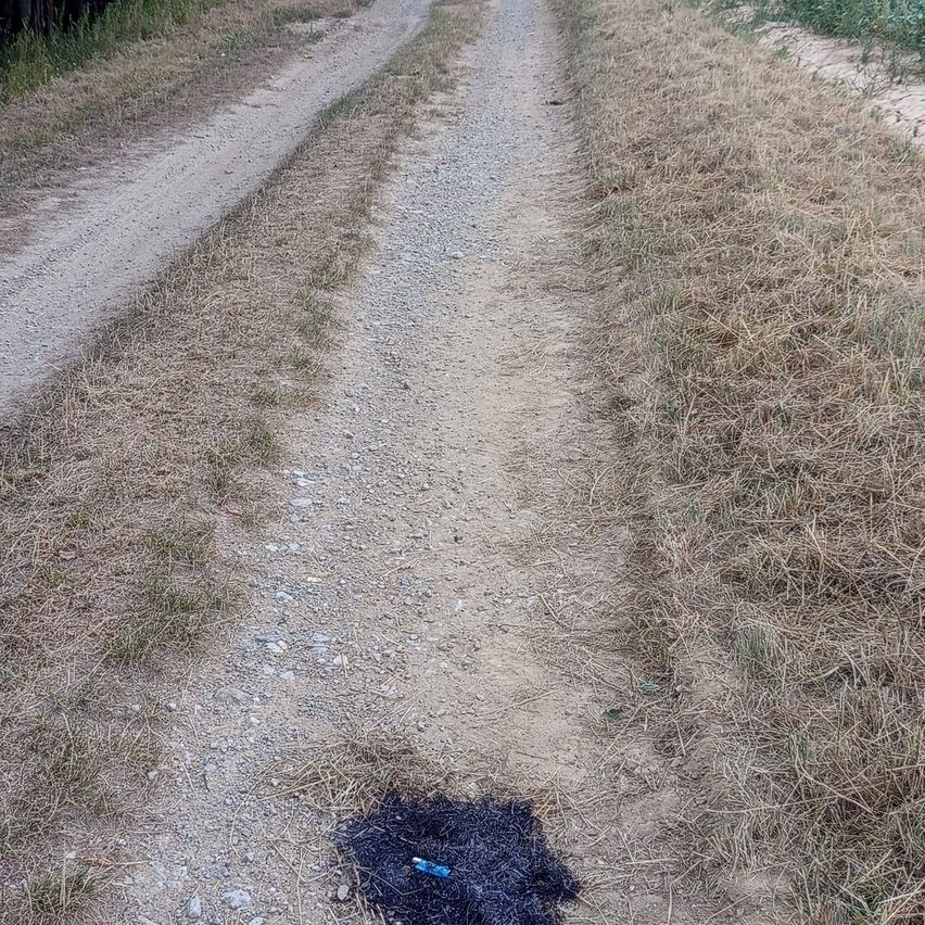 Ein unbefestigter Weg mit einem kleinen schwarzen Fleck auf dem Boden, umgeben von trockenem Gras.
