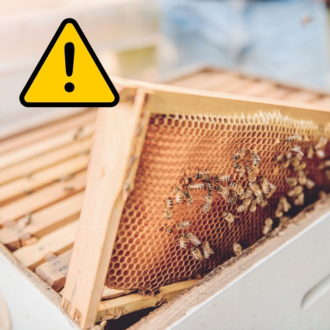 Nahaufnahme eines Bienenstocks mit einem gelben Warnzeichen auf der linken Seite.