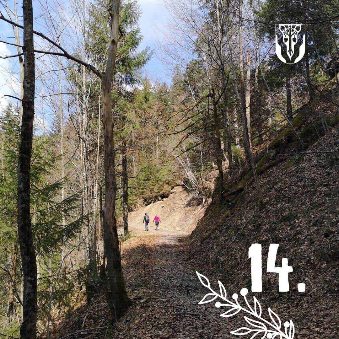 Ein Wanderweg umgeben von dichten Bäumen mit der Nummer 14 in der unteren rechten Ecke. Zwei Personen laufen auf dem Weg.