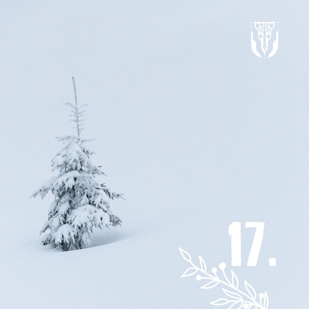Ein kleiner, schneebedeckter Kiefernbaum steht in einer verschneiten Landschaft mit der Nummer 17 im Vordergrund.