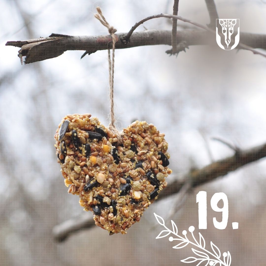 Ein herzförmiger Vogelfutterspender aus Samen hängt von einem Ast. Der Futterspender ist mit verschiedenen Samen und Nüssen verziert. Darunter steht die Nummer '19'.