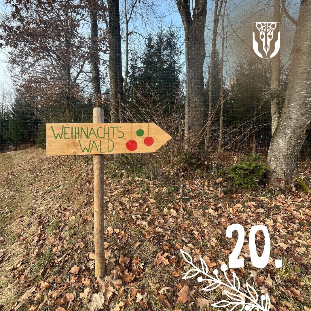 Ein Holzschild weist auf einen Weihnachtswald hin, mit einem markierten Weg und der Nummer 20 darunter. Bäume umgeben das Gebiet, und trockene Blätter bedecken den Boden.