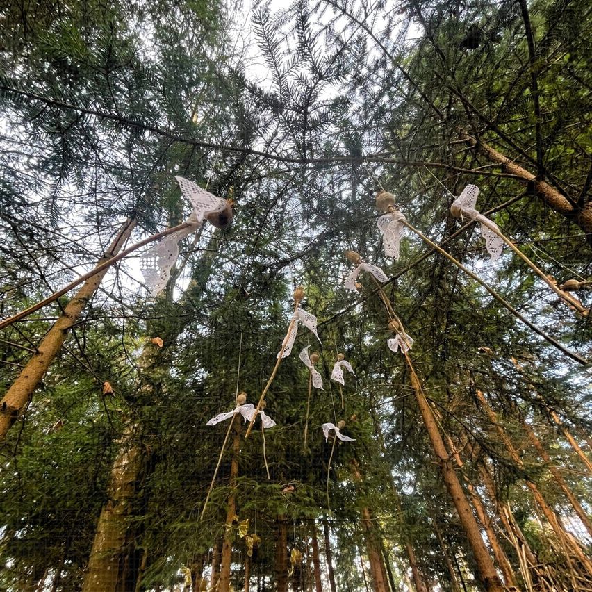 Ein Wald mit hohen Bäumen, Sonnenlicht dringt durch. Mehrere  feenartige Figuren hängen von Ästen, aus Spitze gefertigt.