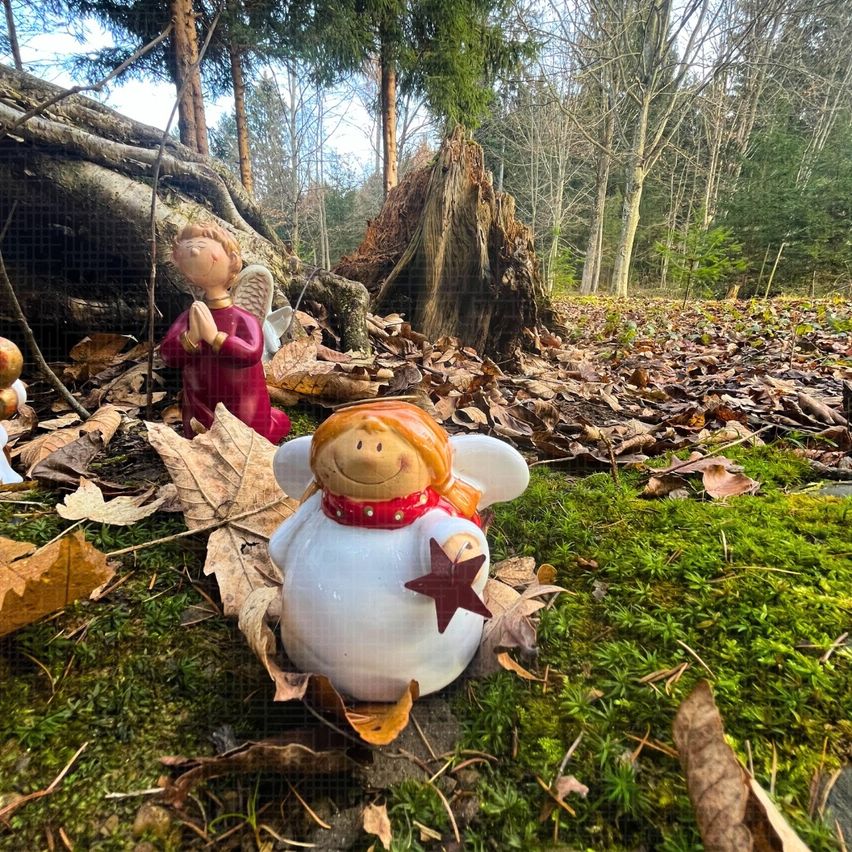 Zwei Engelfiguren, eine in Rot und die andere in Weiß, liegen auf dem moosigen Boden mit gefallenen Blättern. Der rote Engel kniet und betet. Der weiße Engel hat einen Stern auf der Brust und lächelt. Im Hintergrund befindet sich ein umgefallener Baumstumpf.