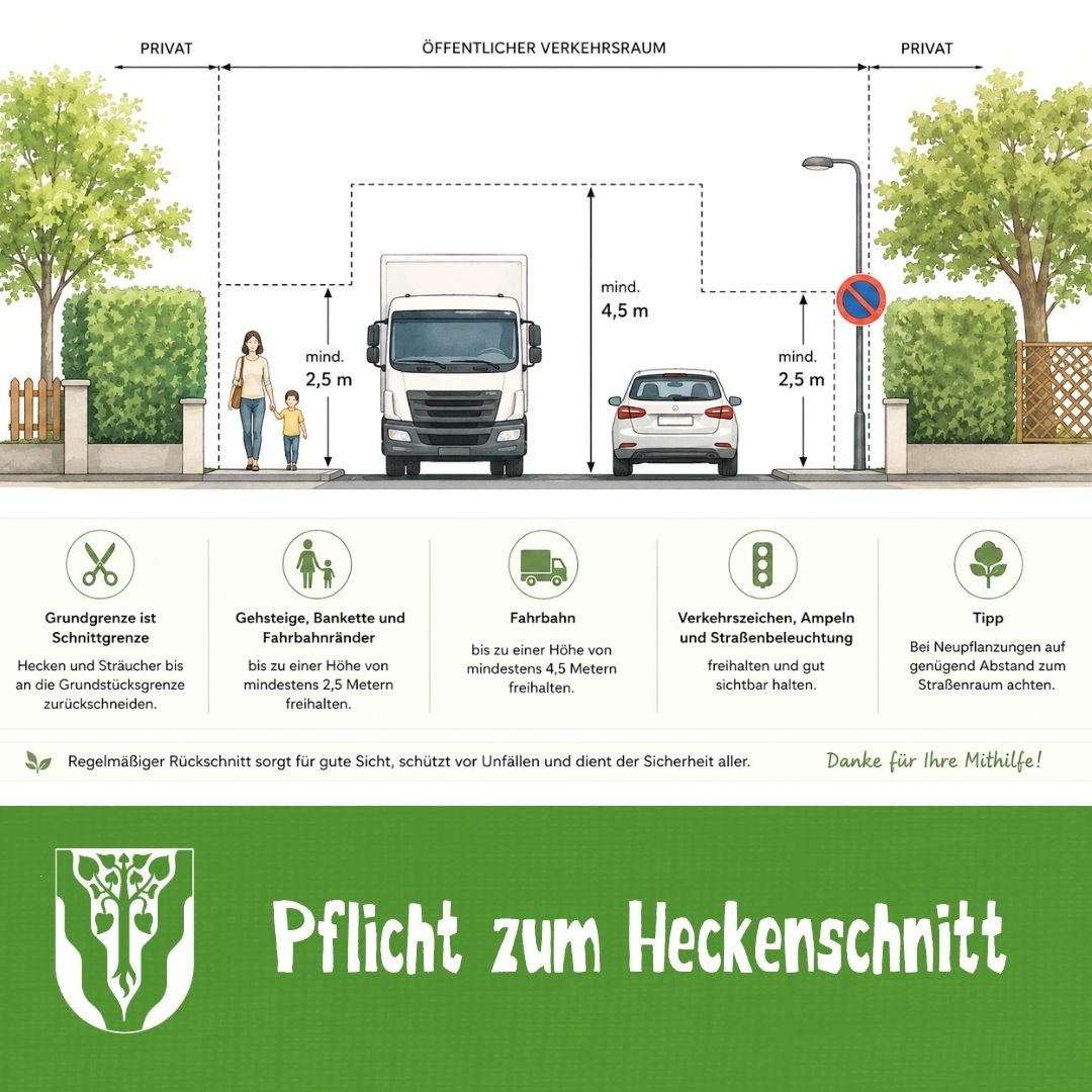 Eine Illustration zeigt den Mindestabstand, der von Hecken und Sträuchern eingehalten werden muss, um die Sichtbarkeit zu gewährleisten. Sie zeigt eine Frau, ein Kind, einen Lastwagen, ein Auto und eine Straßenlampe, mit Maßen und Symbolen für korrektes Heckenschneiden, Verkehrszeichen und Umwelttipps. Sie fördert sichere Sichtlinien und fordert alle auf, teilzunehmen.