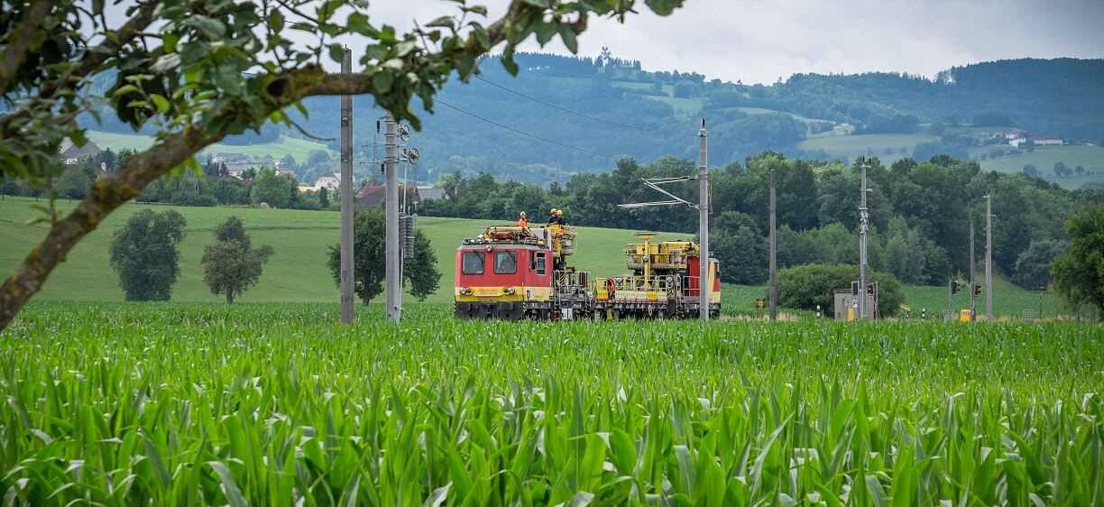 Bild enthält, Field, Nature, Outdoors, Scenery, Countryside, Farm, Pasture, Rural, Vegetation, Train
