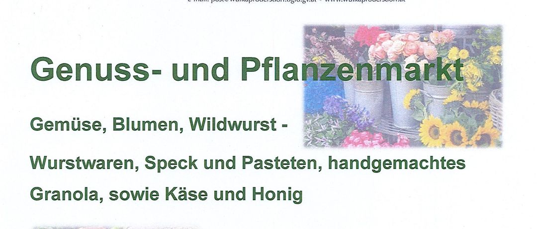 Ein Werbeplakat für einen Genuss- und Pflanzenmarkt. Es zeigt Bilder von Gemüse, Blumen und einem Stand mit verschiedenen Produkten. Die Veranstaltung ist für Samstag, den 26. April 2025, von 9:00 bis 11:30 Uhr geplant. Es umfasst eine Vielzahl von Produkten wie Gemüse, Blumen, Wildpilze, Würste, Speck, Gebäck, Granola, Käse und Honig.