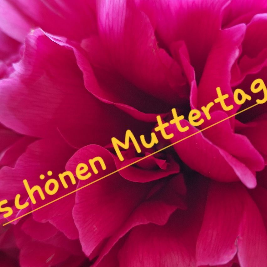 Eine Nahaufnahme einer leuchtend rosa Blume mit 'Schonen Muttertag' in gelber Schrift. Die Blütenblätter sind in einem kreisförmigen Muster angeordnet.