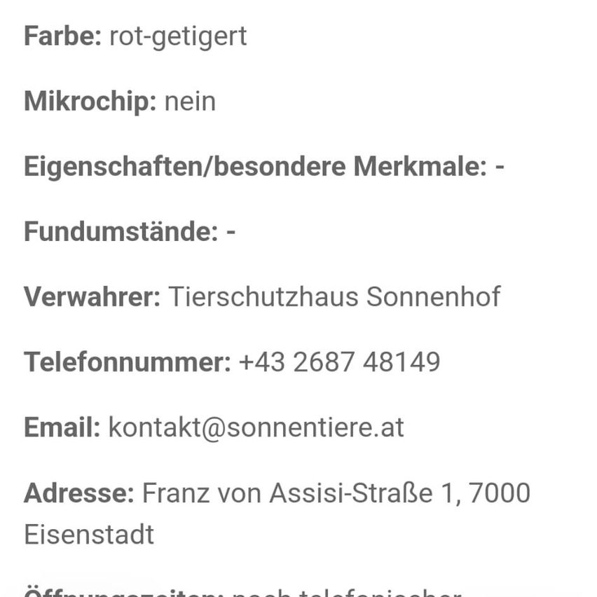 Die Katze ist rot-gingert, hat keinen Mikrochip und keine besonderen Merkmale. Das Tierheim ist Tierschutzhaus Sonnenhof, Telefonnummer +43 2687 48149, E-Mail kontakt@sonnentiere.at, Adresse Franz von Assisi-Straße 1, 7000 Eisenstadt. Öffnungszeiten telefonisch.