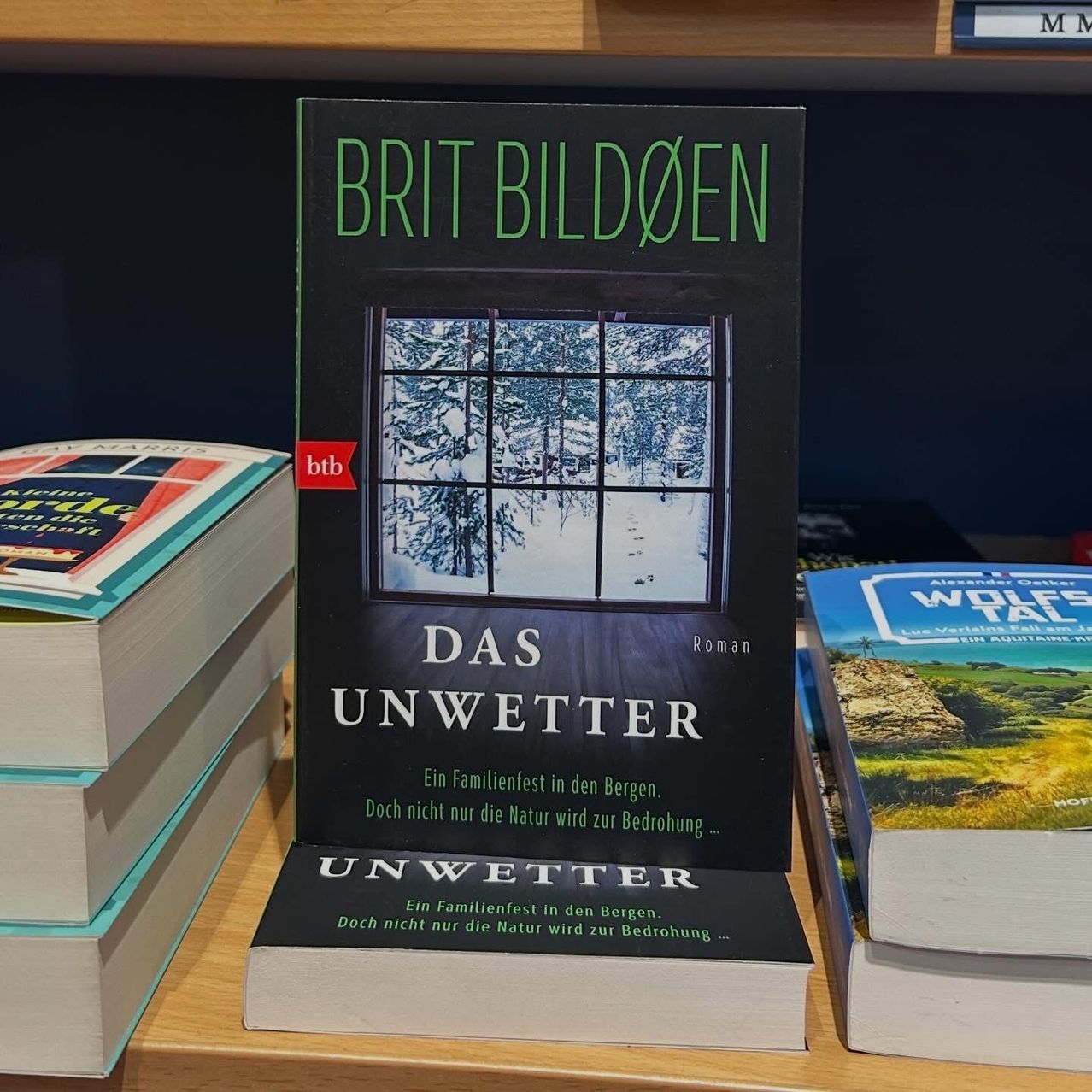 Ein Buch mit dem Titel 'Das Unwetter' von Brit Bildöen ist auf einem Holzregal neben anderen Büchern ausgestellt. Das Cover zeigt eine verschneite Fensteransicht.