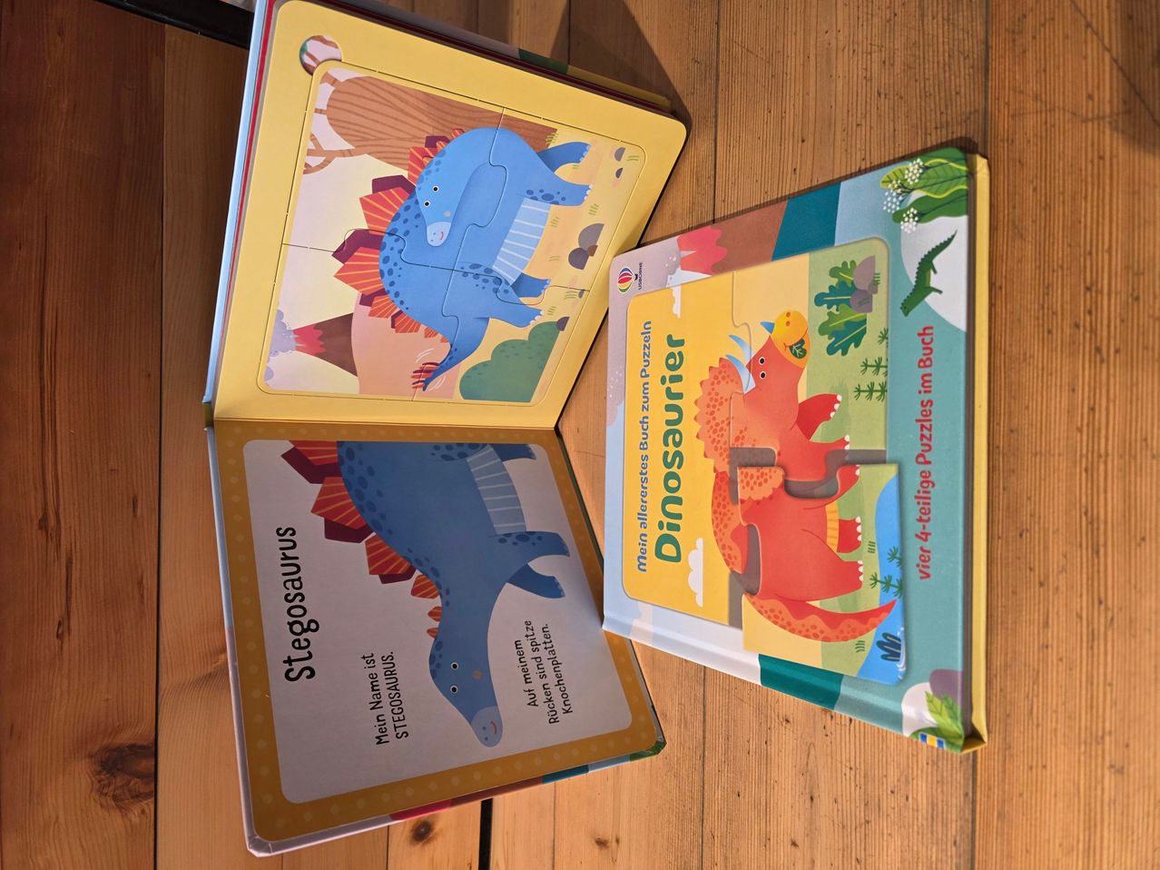 Two open books with dinosaur puzzles on a wooden surface. One book is titled 'Stegosaurus' and the other is titled 'Dinosaur'. Both books have colorful illustrations of dinosaurs.