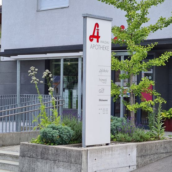 Bild enthält, Plant, Potted Plant, Building, Handrail, Garden, Outdoors, City, Interior Design, Planter, Urban