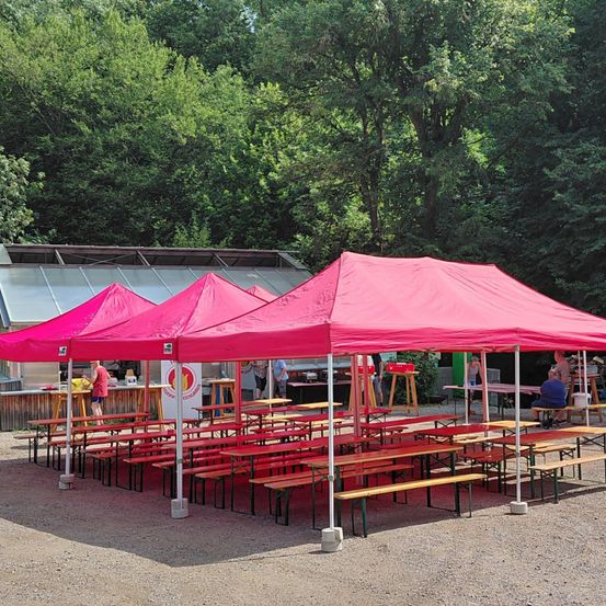 Eine Gruppe von Menschen richtet einen Picknickbereich mit roten Bänken und rosa Zelten in einem Park ein. Bäume und ein Gebäude sind im Hintergrund zu sehen.