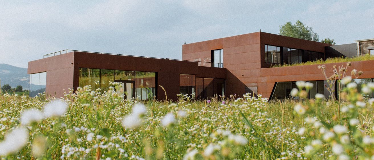 Bild enthält, Field, Grassland, Nature, Outdoors, Daisy, Flower, Building, Shelter, Meadow, Grass
