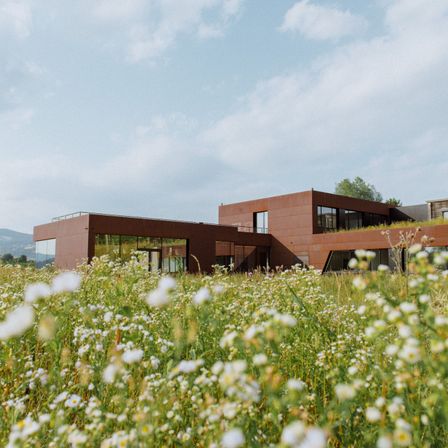 Bild enthält, Field, Grassland, Nature, Outdoors, Daisy, Flower, Building, Shelter, Meadow, Grass