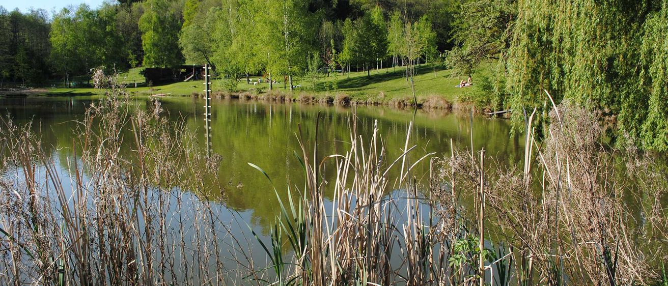 Bild enthält, Nature, Outdoors, Pond, Water, Land, Vegetation, Grass, Scenery, Tree, Woodland