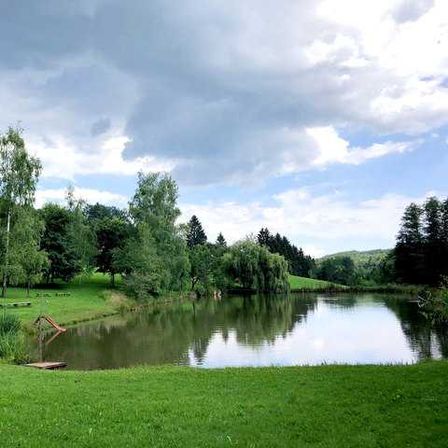 Bild enthält, Nature, Outdoors, Pond, Water, Grass, Scenery, Park, Field, Vegetation, Tree