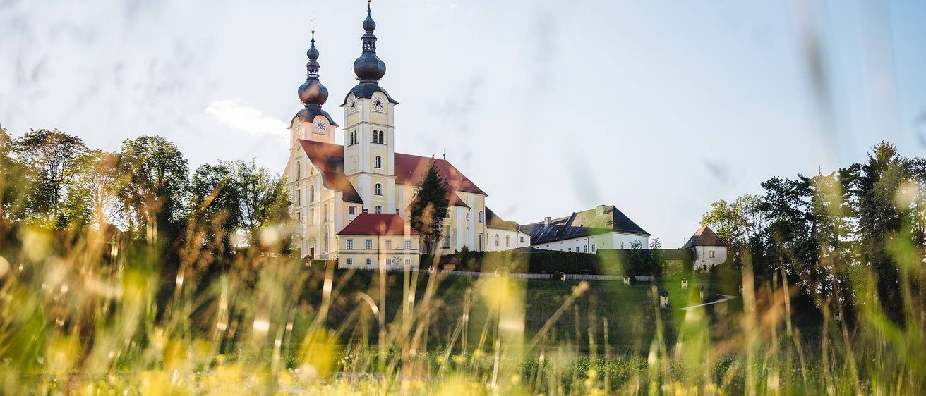 Grass, Plant, Architecture, Building, Castle, Fortress, Outdoors, Landmark, Neuschwanstein Castle