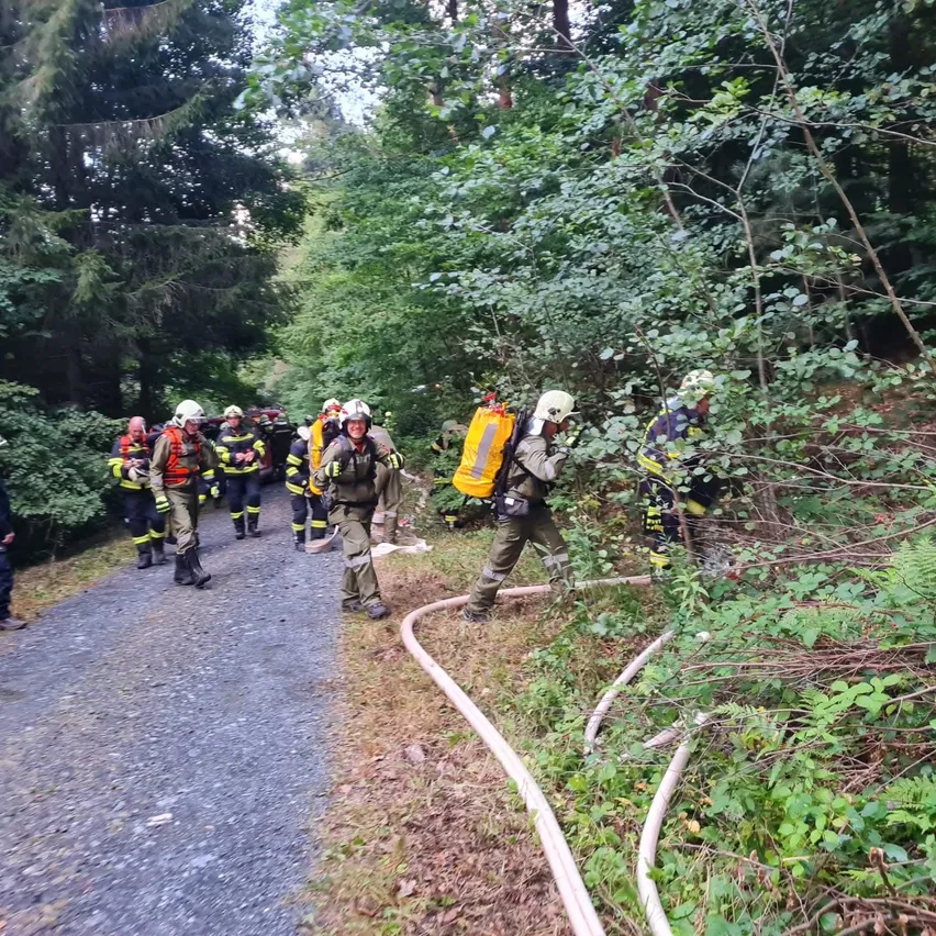 Feuerwehrleute laufen auf einem Schotterweg im Wald. Einige tragen Feuerlöscher und andere haben Schläuche.