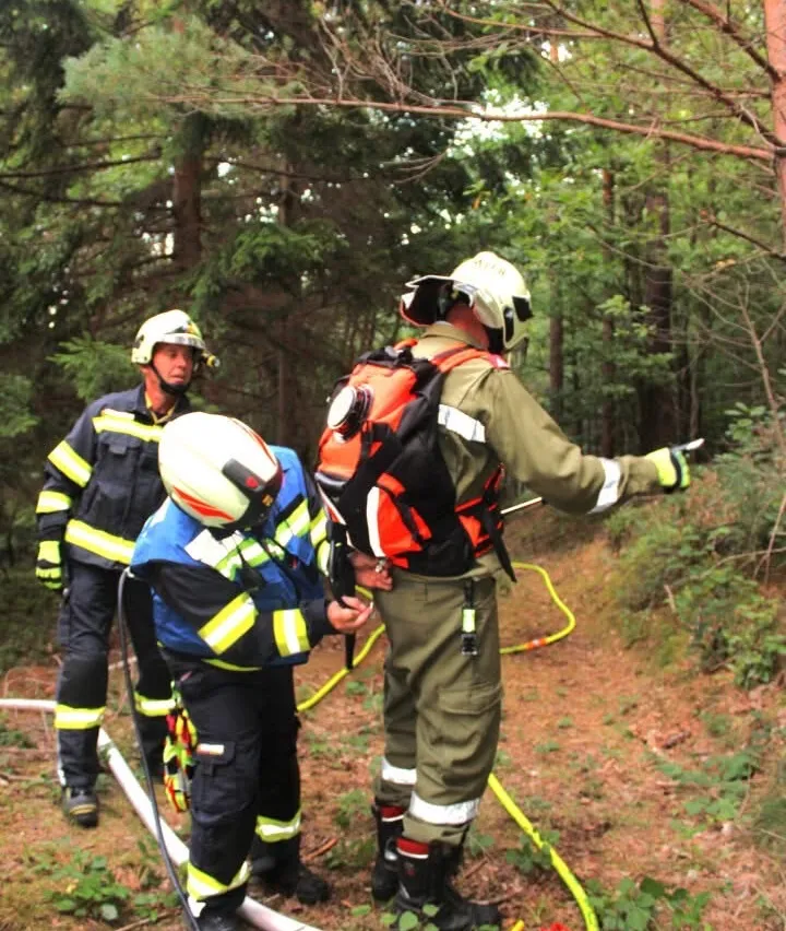 Drei Feuerwehrleute sind im Wald, einer hilft einem anderen, während einer mit einer Feuerwehrschlauch dahinter steht.