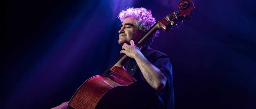 Bild enthält, Performer, Person, Solo Performance, Guitar, Musical Instrument, Cello, Concert, Crowd