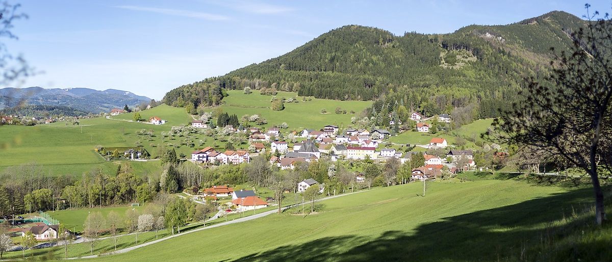 Ein Dorf in einem grünen Tal, umgeben von bewaldeten Bergen unter einem klaren blauen Himmel.