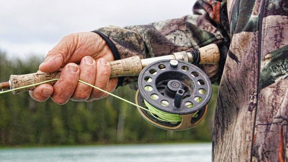 v1_migrated_image_81228788