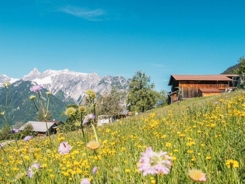 Ein Bergdorf mit einem Holzhaus, einer Wiese voller bunter Blumen und einem schneebedeckten Berg im Hintergrund.