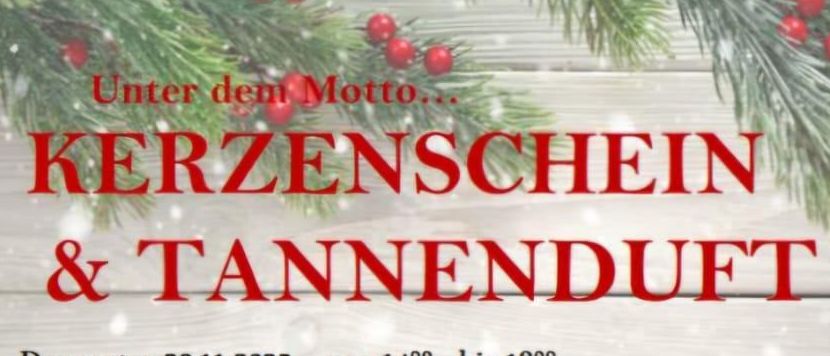 Ein Weihnachtsmarkt in Waidhofen/Thaya bietet handgefertigte festliche Dekorationen an. Termine: 20.11, 21.11, 22.11.2025, jeweils von 8 Uhr bis 18 Uhr.