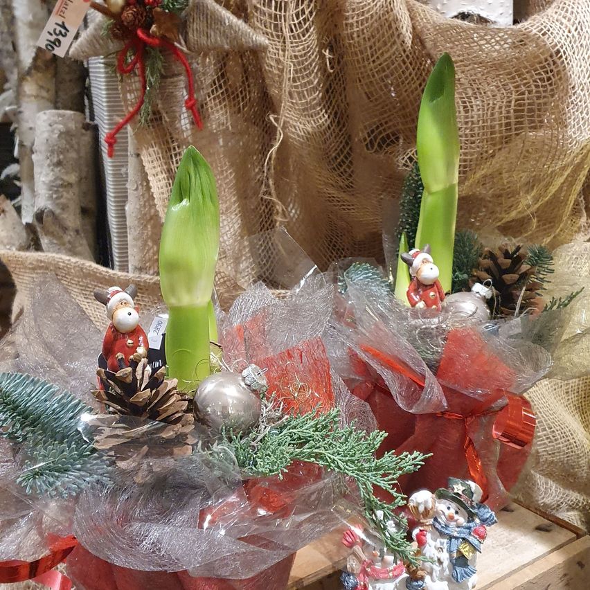 Zwei Weihnachtsblumenarrangements mit grünen Stielen, Tannenzapfen und Ornamenten stehen auf einer Holzoberfläche. Das linke Arrangement hat eine Santa-Figur und ein rotes Band, während das rechte eine Schneemann-Figur hat. Dahinter ist eine Jute-Stoff.