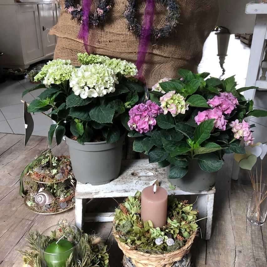 Two potted plants with white and pink flowers are placed on a wooden table, accompanied by a candle and decorative items.