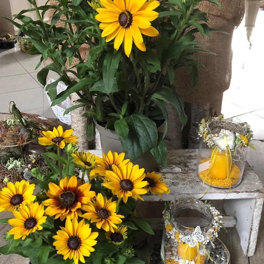A table with a white bench holds a collection of yellow sunflowers, some in pots and others in vases, with decorative glass jars and butterflies.