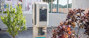 BRANDL_IMG_8340_2606