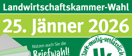 Screenshot2025-11-19143151