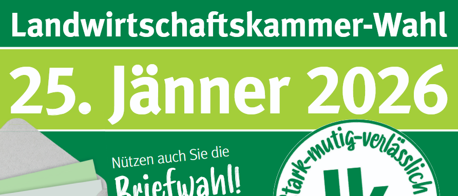 Screenshot2025-11-19143151