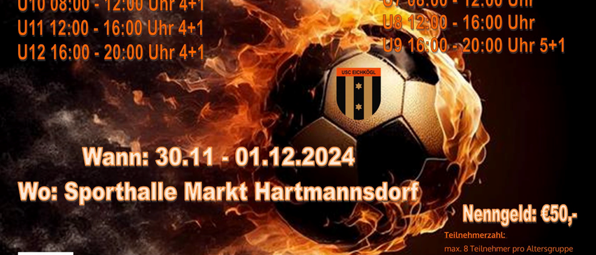 Bild enthält, Advertisement, Poster, Ball, Football, Soccer, Soccer Ball, Sport, Person, QR Code