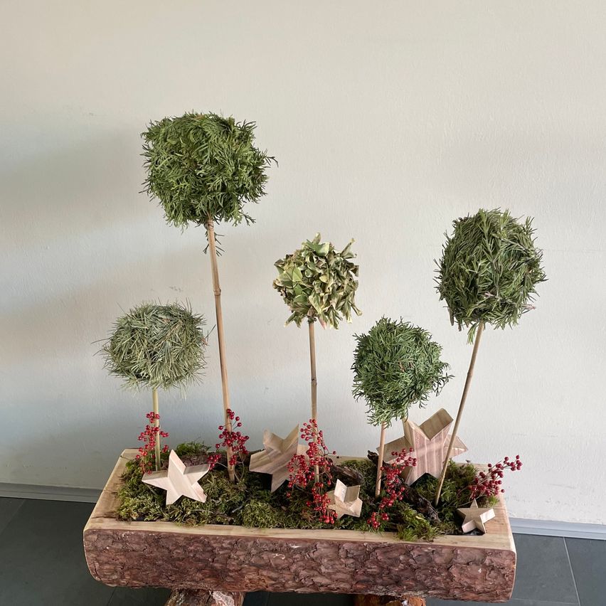 Ein hölzerner Pflanzkasten enthält eine dekorative Anordnung von fünf kleinen Topiarbreien, umgeben von roten Beeren und Moos, mit Sterndekorationen vor weißem Hintergrund.
