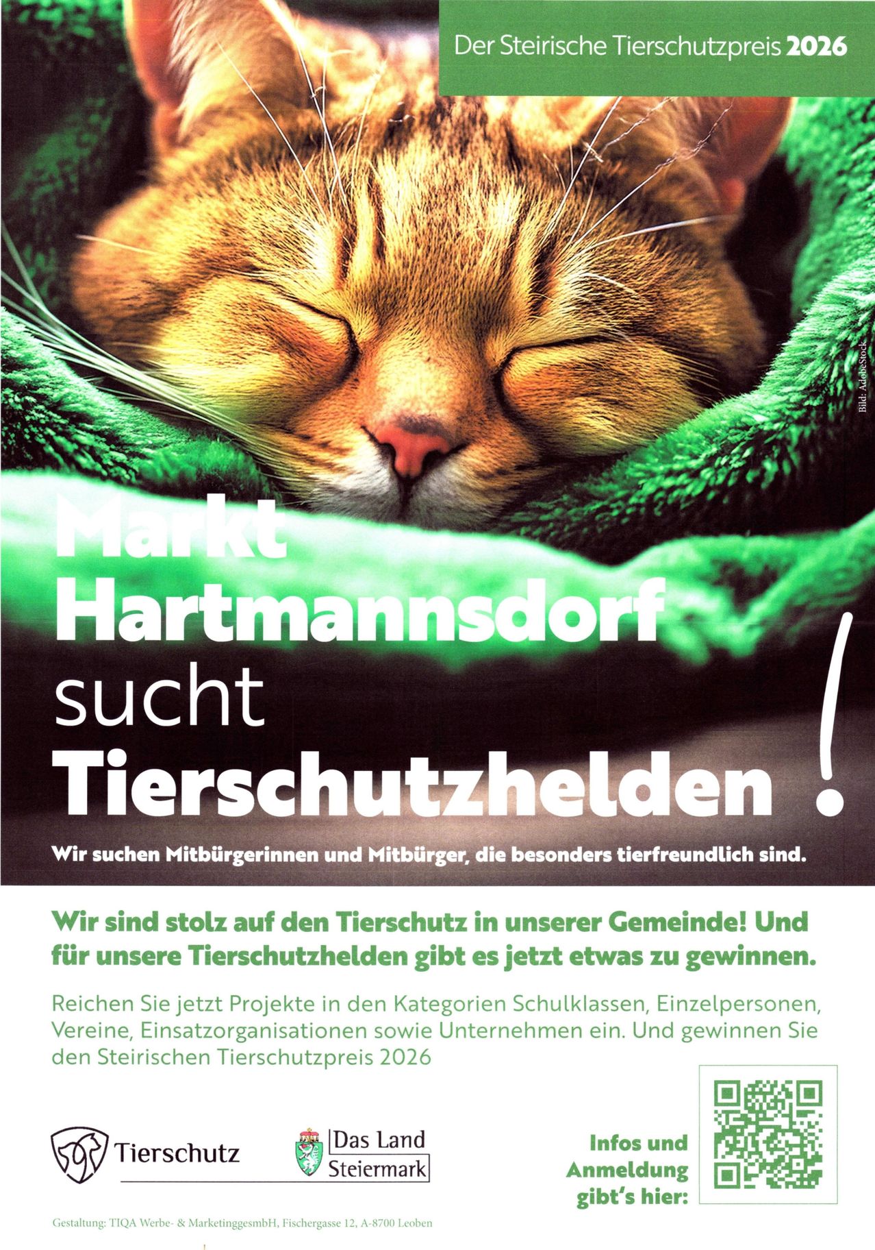A poster featuring a sleeping cat wrapped in a green blanket with the text 'Markt Hartmannsdorf sucht Tierschutzhelden' and a call for animal-friendly citizens.