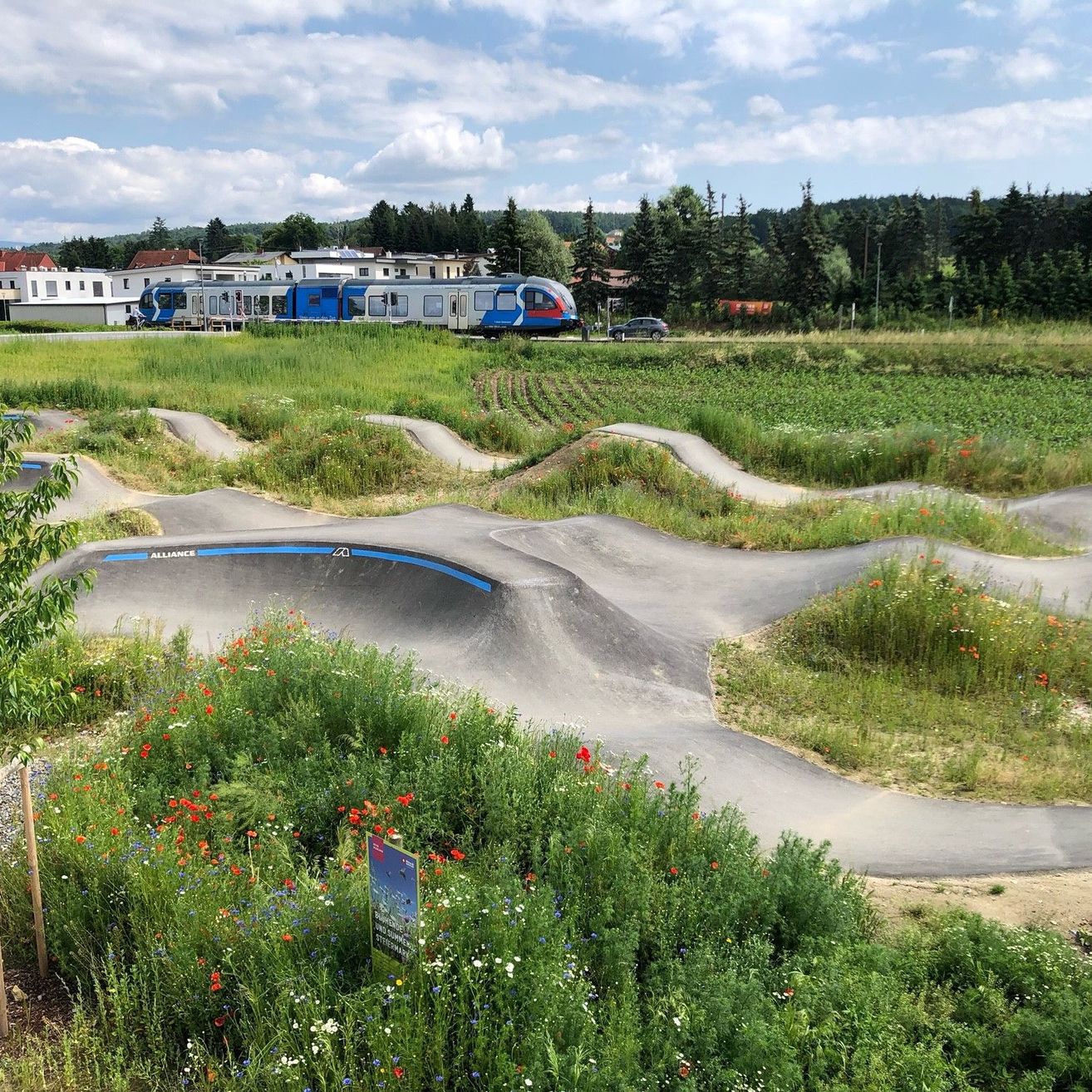 Bild enthält, Outdoors, Nature, Scenery, Vegetation, Car, Tree, Housing, Grass, Park, Road