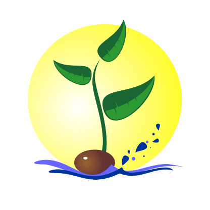 Bild enthält, Leaf, Plant, Herbal, Herbs, Food, Fruit, Produce, Sprout, Pear