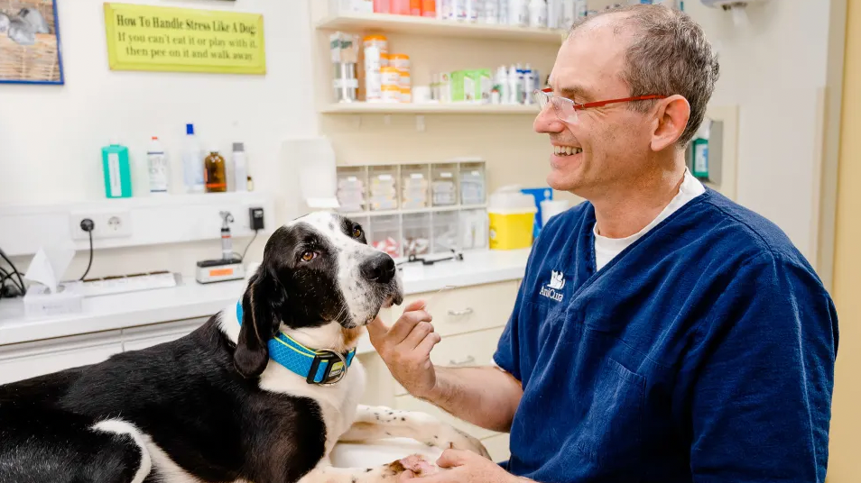 v1_migrated_image_96302357